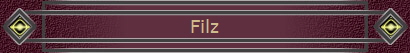 Filz